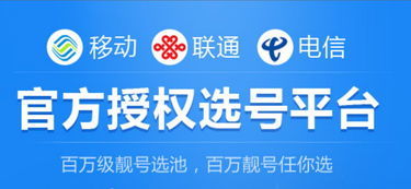 中國鐵通服務熱線與網(wǎng)絡技術服務指南